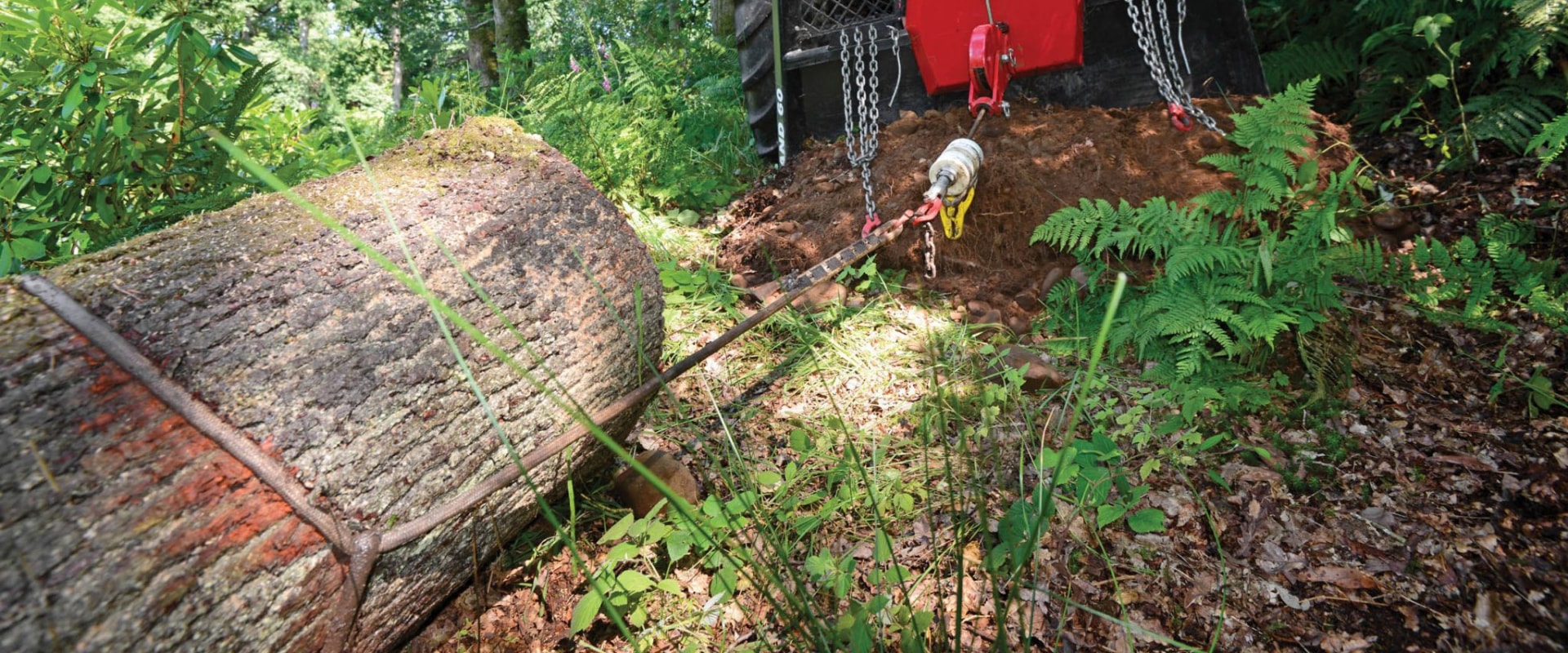 proper-storage-and-handling-of-forestry-equipment